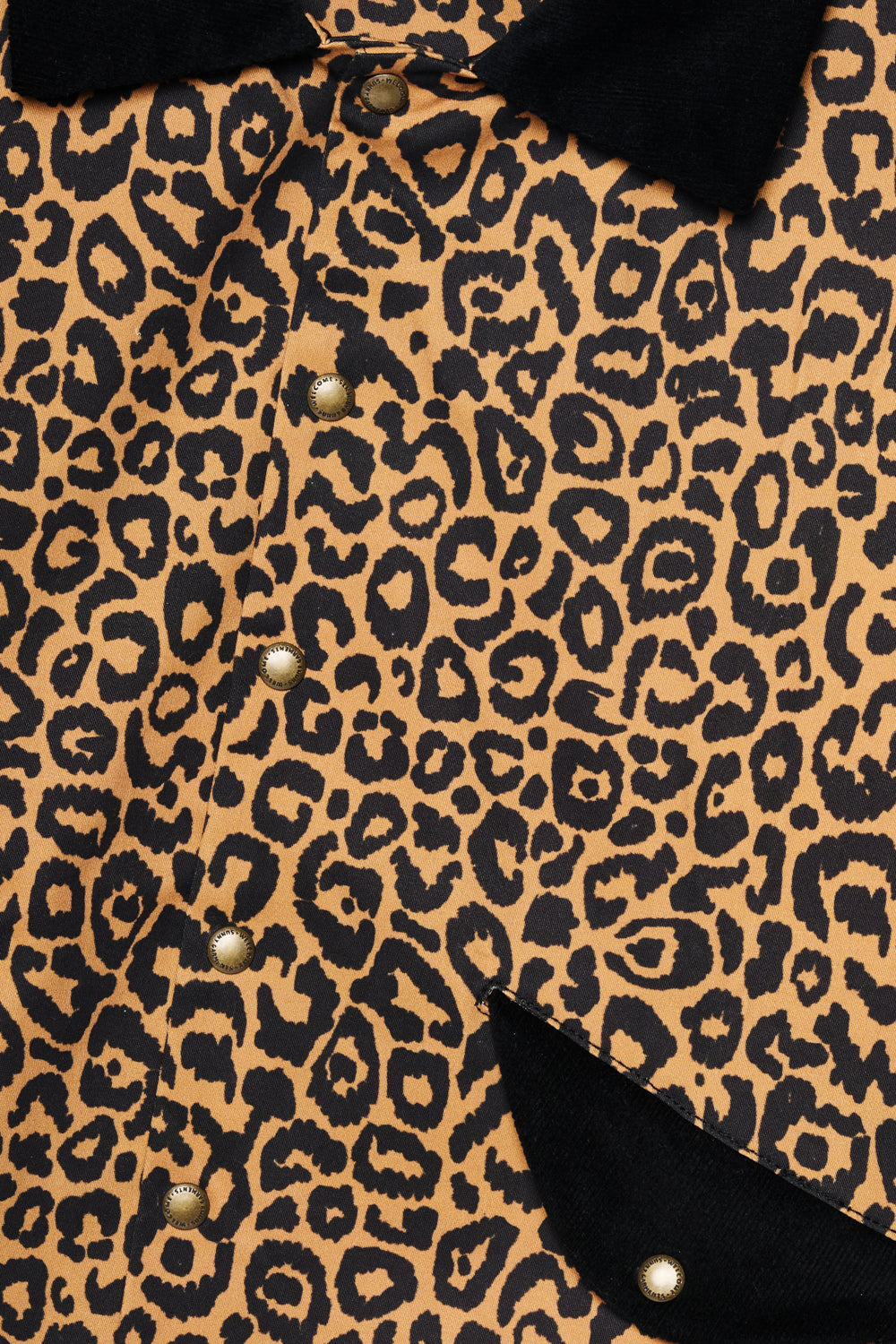 Jaqueta Leopard Classic