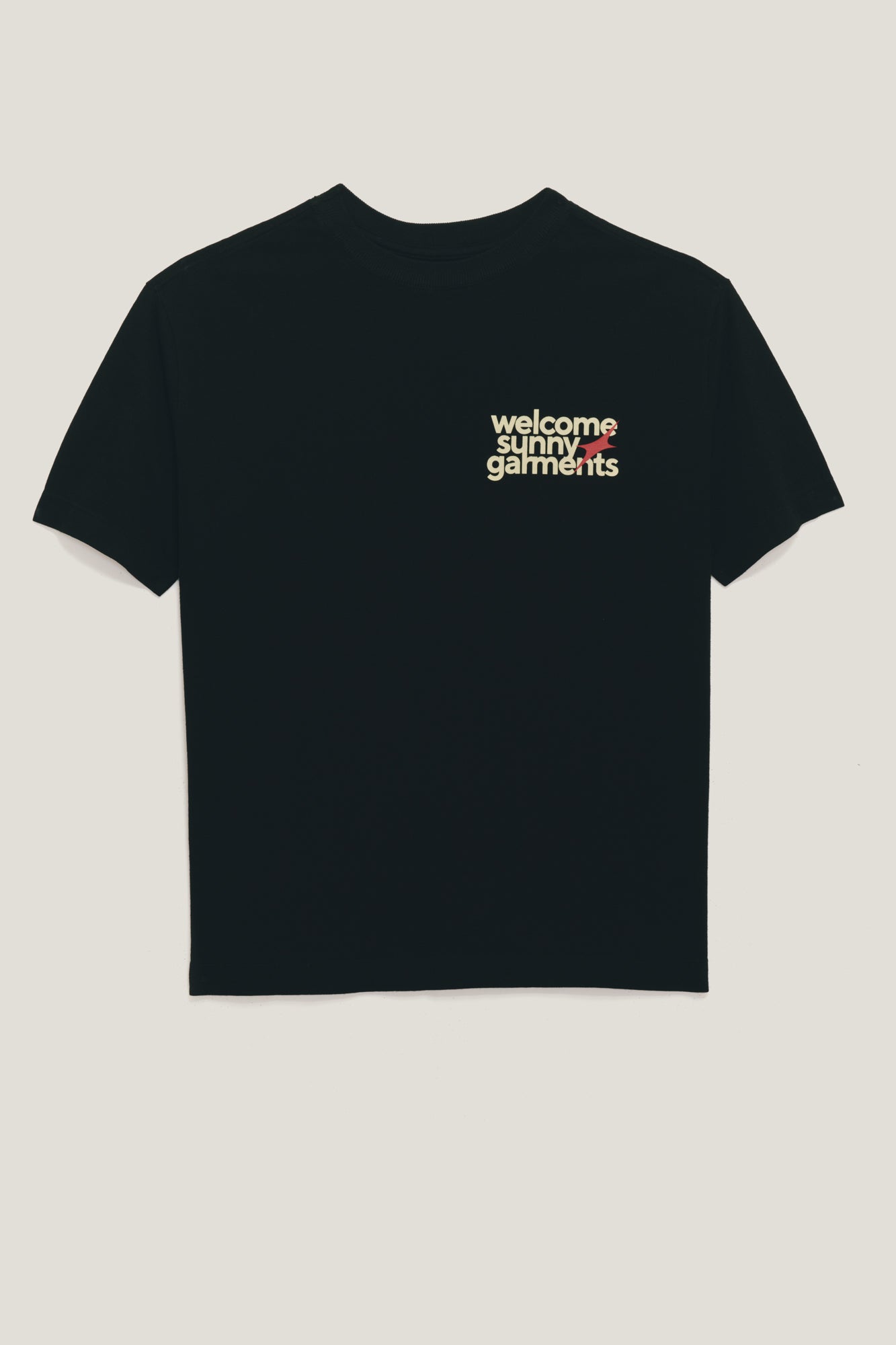 T-Shirt Regular Fit Star - Preto